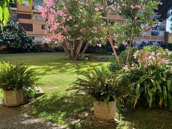 Estudio - barrio Huerta Belón-Calvario - vivienda en Marbella barata