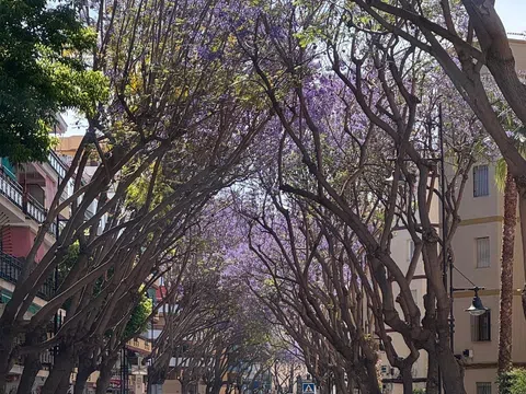 Piso - Centro Ciudad - vivienda en Fuengirola barata